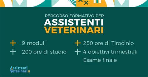 infografica percorso formativo veterinari
