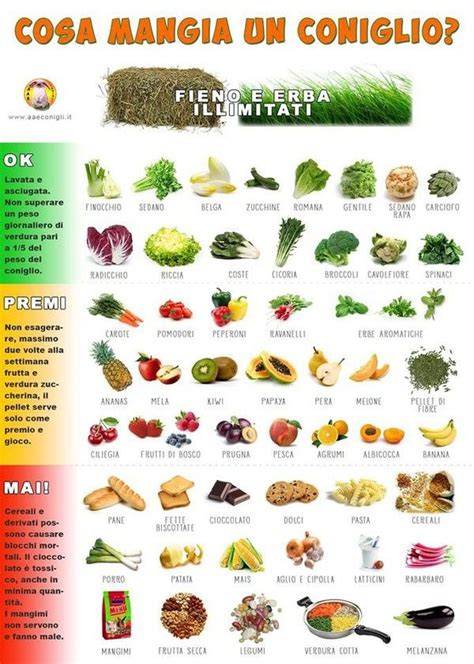 schematica alimentazione del coniglio