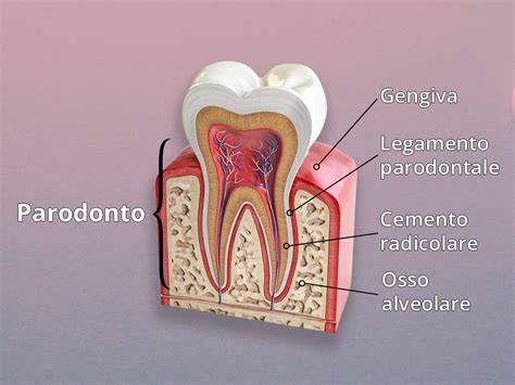 diagramma parodontologia e protesi