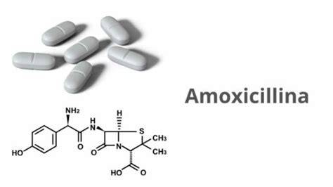 interazioni farmacologiche amoxicillina