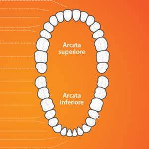 Diagramma arcate dentali e impronte
