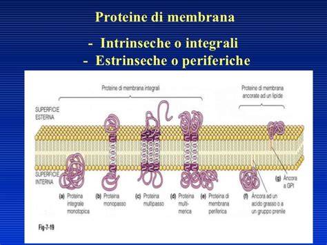 illustrazione delle differenze tra macchie estrinseche e intrinseche