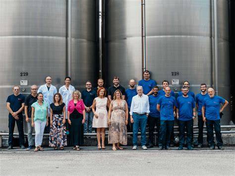 schema aziendale di Herbadent e Vinicola San Nazaro