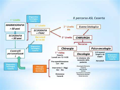 schemi di percorso diagnostico dentale