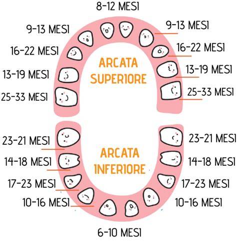 piattaforma educativa dentizione bambini