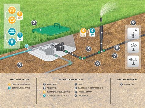 Schema riassuntivo cure gigli: irrigazione, terreno, concimazione