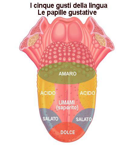 lingua con papille infiammate cause